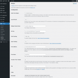 Page screenshot: Settings &rarr; Mailgun