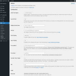 Page screenshot: Settings &rarr; Mailgun