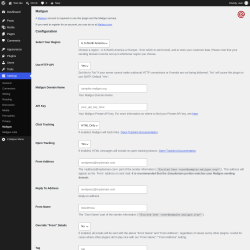 Page screenshot: Settings &rarr; Mailgun