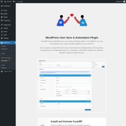 Page screenshot: MailOptin → User Sync NEW