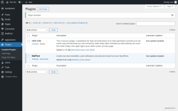 Page screenshot: Plugins &lsaquo; Test site &mdash; WordPress