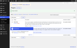 Page screenshot: Plugins &lsaquo; Test site &mdash; WordPress
