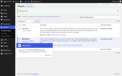 Page screenshot: Plugins &lsaquo; Test site &mdash; WordPress