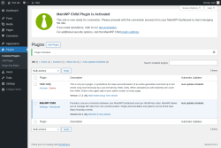 Page screenshot: Plugins &lsaquo; Test site &mdash; WordPress