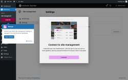 Page screenshot: Elementor &rarr; Site management