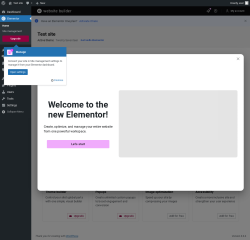 Page screenshot: Elementor