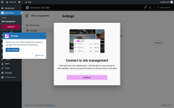 Page screenshot: Elementor &rarr; Site management