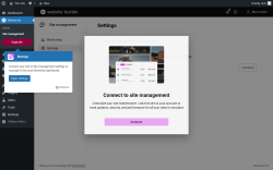Page screenshot: Elementor &rarr; Site management