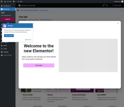 Page screenshot: Elementor