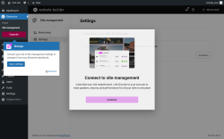 Page screenshot: Elementor &rarr; Site management