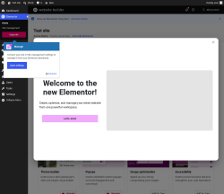 Page screenshot: Elementor