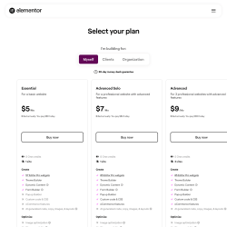 Page screenshot: Elementor &rarr; Upgrade