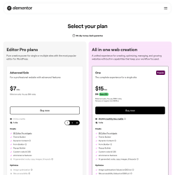 Page screenshot: Elementor &rarr; Upgrade