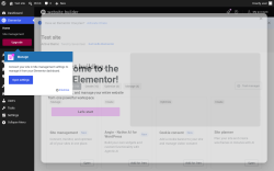 Page screenshot: Elementor