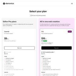 Page screenshot: Elementor &rarr; Upgrade