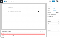 Page screenshot: Add New Post &lsaquo; Test site &mdash; WordPress