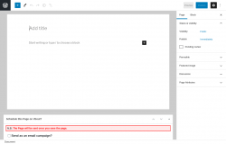 Page screenshot: Add New Page &lsaquo; Test site &mdash; WordPress