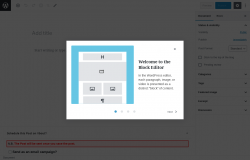 Page screenshot: Add New Post &lsaquo; Test site &mdash; WordPress