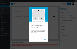Page screenshot: Add New Post &lsaquo; Test site &mdash; WordPress