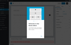 Page screenshot: Add New Page &lsaquo; Test site &mdash; WordPress