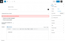 Page screenshot: Add New Post &lsaquo; Test site &mdash; WordPress