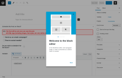 Page screenshot: Add New Post &lsaquo; Test site &mdash; WordPress
