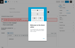 Page screenshot: Add New Page &lsaquo; Test site &mdash; WordPress