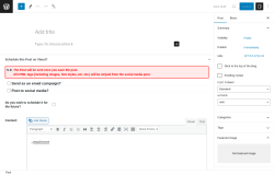 Page screenshot: Add New Post &lsaquo; Test site &mdash; WordPress