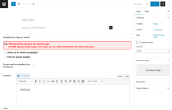 Page screenshot: Add New Page &lsaquo; Test site &mdash; WordPress