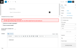 Page screenshot: Add New Post &lsaquo; Test site &mdash; WordPress
