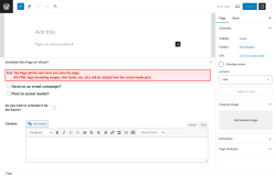 Page screenshot: Add New Page &lsaquo; Test site &mdash; WordPress