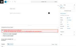 Page screenshot: Add New Post &lsaquo; Test site &mdash; WordPress