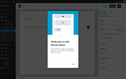 Page screenshot: Pop-Ups → Add New → Add New Variation