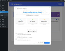 Page screenshot: MarqueeX &rarr; Settings