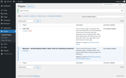 Page screenshot: Plugins &lsaquo; Test site &mdash; WordPress