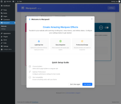 Page screenshot: MarqueeX &rarr; Settings