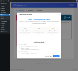 Page screenshot: MarqueeX