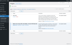 Page screenshot: Plugins ‹ Test site — WordPress