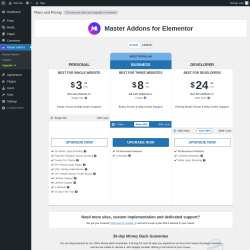 Page screenshot: Master Addons → Upgrade  ➤