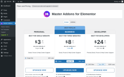 Page screenshot: Master Addons &rarr; Upgrade&nbsp;&nbsp;➤