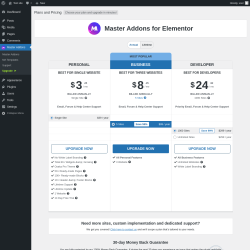 Page screenshot: Master Addons &rarr; Upgrade&nbsp;&nbsp;➤