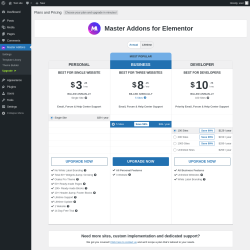 Page screenshot: Master Addons &rarr; Upgrade&nbsp;&nbsp;➤