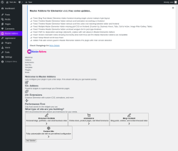 Page screenshot: Setup Wizard &lsaquo; Test site &mdash; WordPress