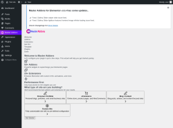 Page screenshot: Setup Wizard &lsaquo; Test site &mdash; WordPress