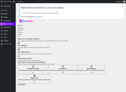 Page screenshot: Setup Wizard &lsaquo; Test site &mdash; WordPress