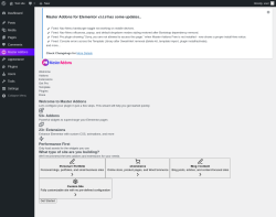 Page screenshot: Setup Wizard &lsaquo; Test site &mdash; WordPress