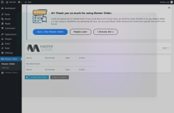 Page screenshot: Master Slider