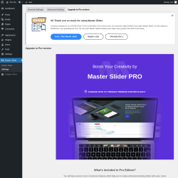 Page screenshot: Master Slider → Settings → Upgrade to Pro version