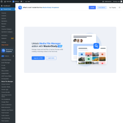 Page screenshot: MasterStudy → Media File Manager