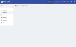 Page screenshot: Matomo Analytics &rarr; Reporting 